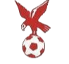 https://img.xiangyangshicai.com/img/football/team/4802d26df935b78bb2fcdbbff36e8864.png