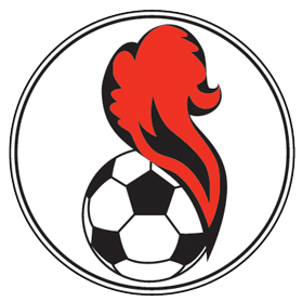 https://img.xiangyangshicai.com/img/football/team/5541e5015258ae82b121480f4164267d.png