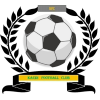 https://img.xiangyangshicai.com/img/football/team/6dc6d59af2f0962597b412473a6708ee.png