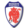 https://img.xiangyangshicai.com/img/football/team/7537ed874ffe46890fcf9fc9547e0ba5.png