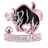 https://img.xiangyangshicai.com/img/football/team/97c3ef30cac48cadff97605e387feefa.png